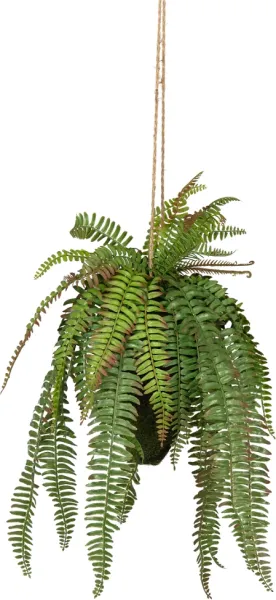Fern, Tekokasvi, vihreä, K58x30x30 cm
